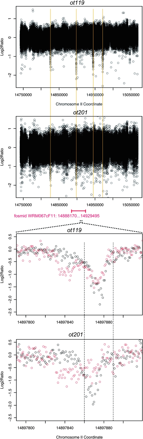 Figure 2.—