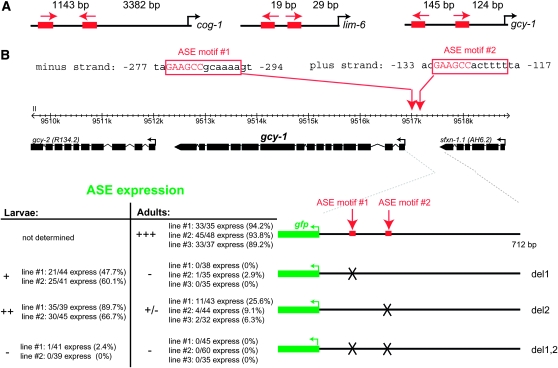 Figure 5.—