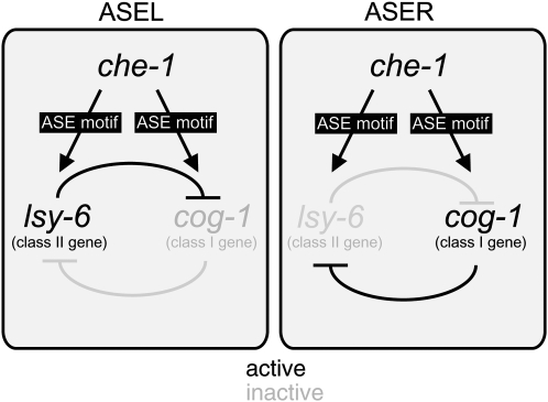 Figure 1.—