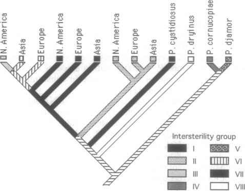 graphic file with name pnas01132-0509-a.jpg