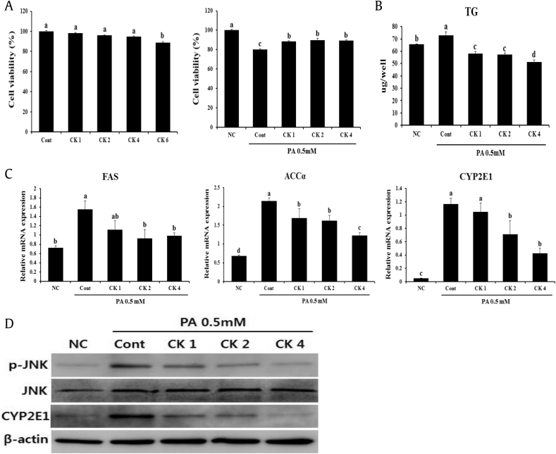 Fig. 6