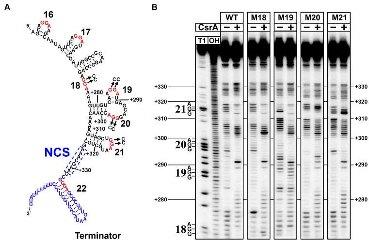 Figure 6.