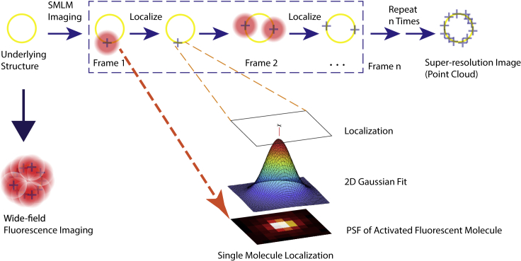 Figure 3