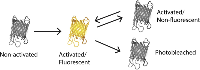 Figure 4