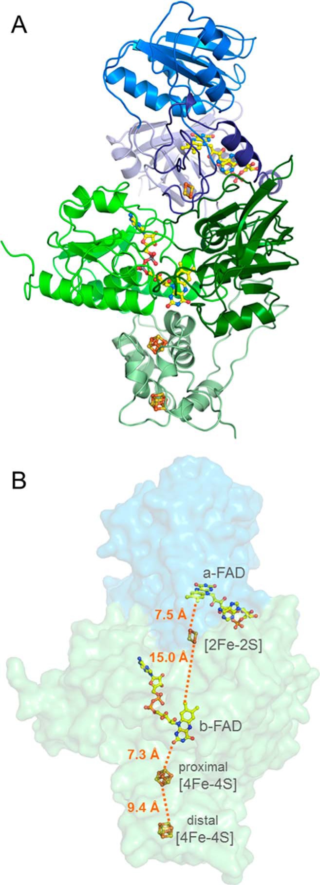 FIGURE 2.