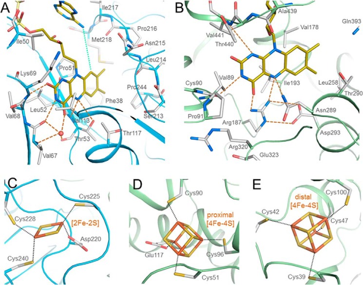 FIGURE 3.