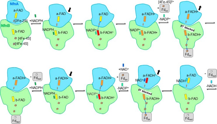 FIGURE 5.