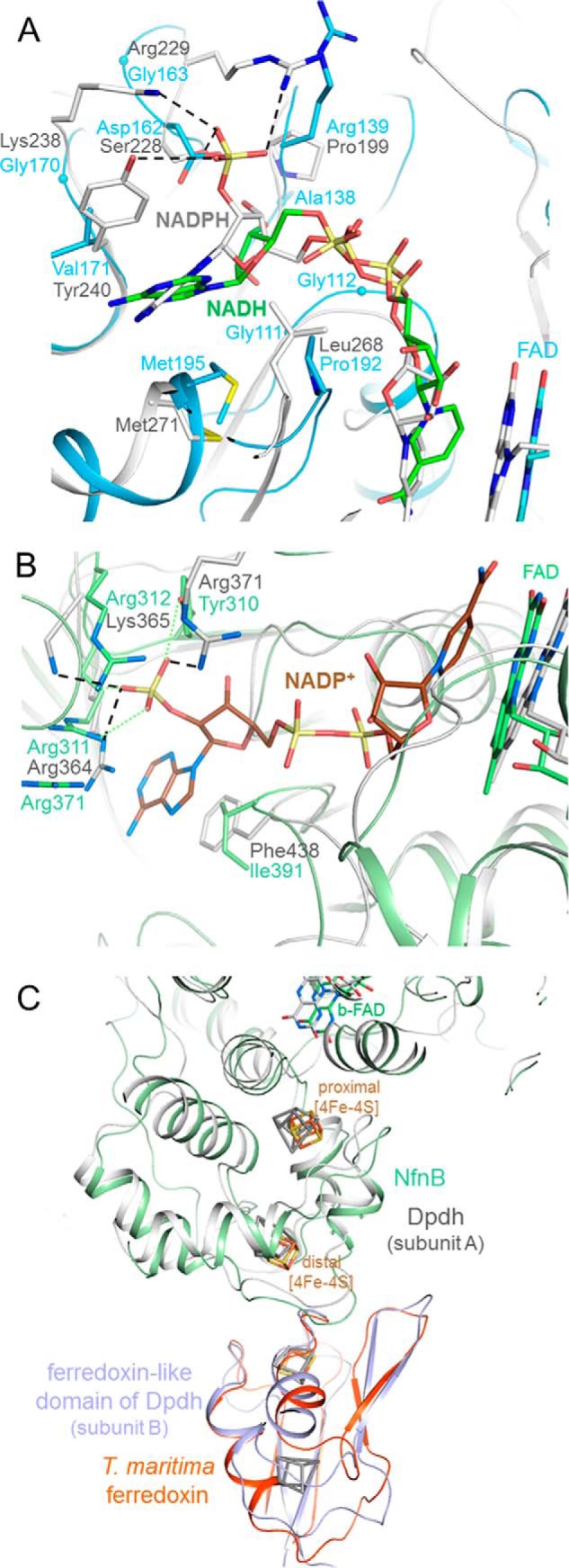 FIGURE 4.