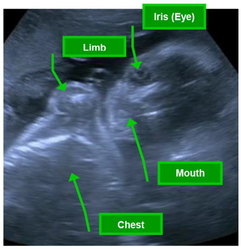 Figure 1.