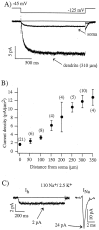 Fig. 2.