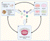 Figure 3: