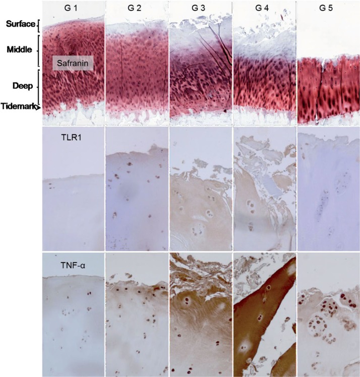 Figure 6.