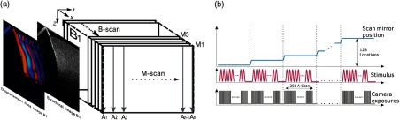 Fig. 20