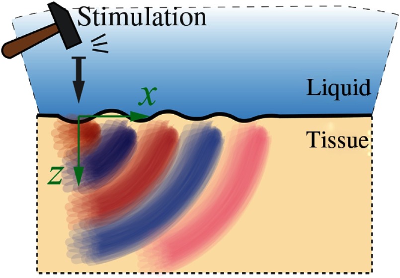 Fig. 6