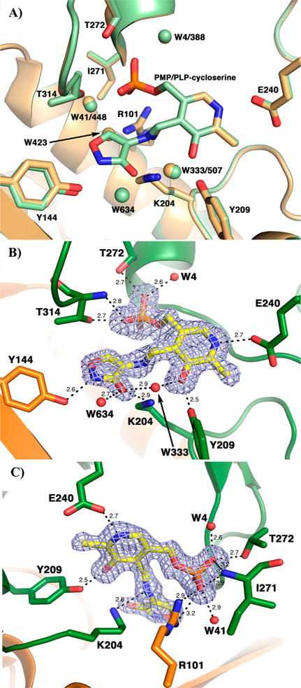 Figure 5