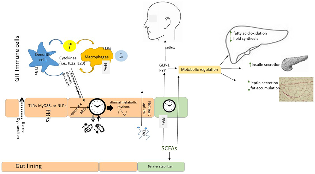 Fig. 2 |
