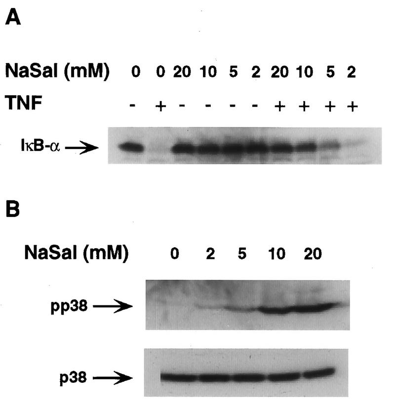 FIG. 5