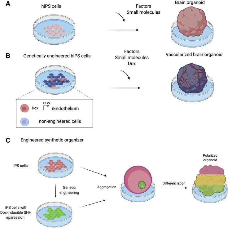 Figure 2