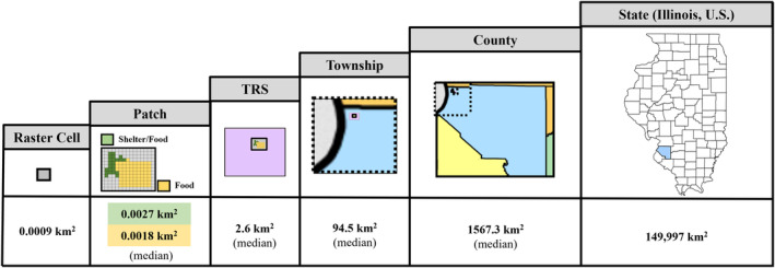 FIGURE 2