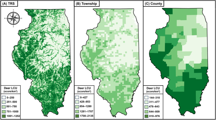 FIGURE 3