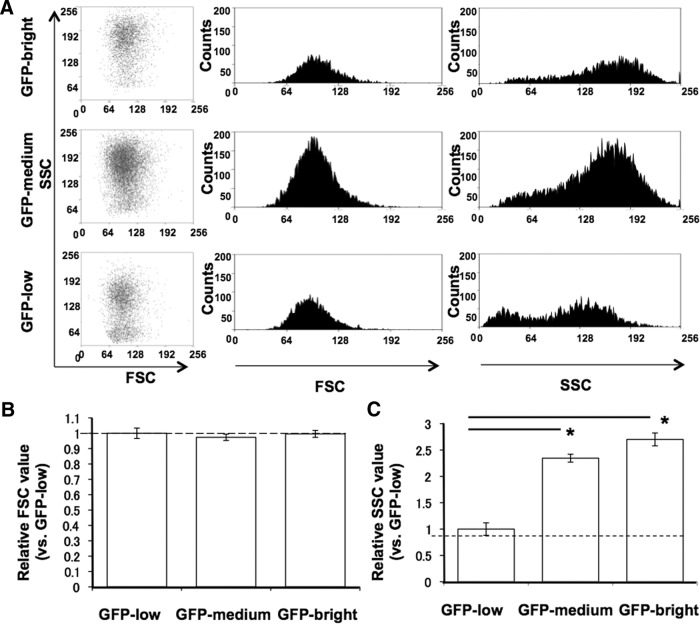 Fig. 2.