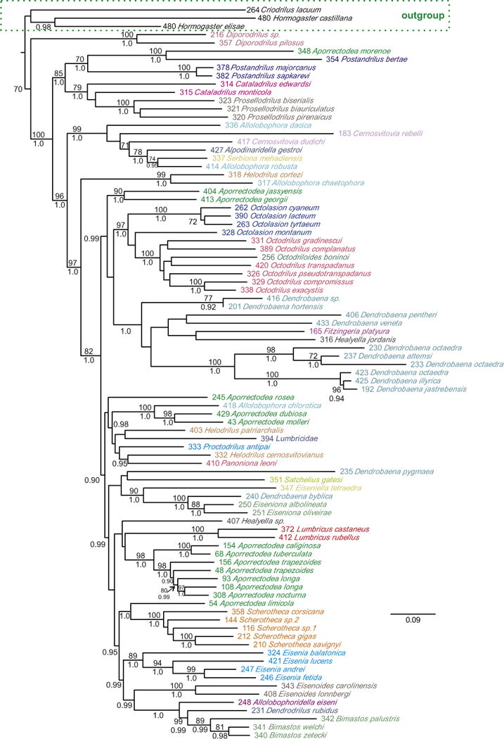 Fig. 2