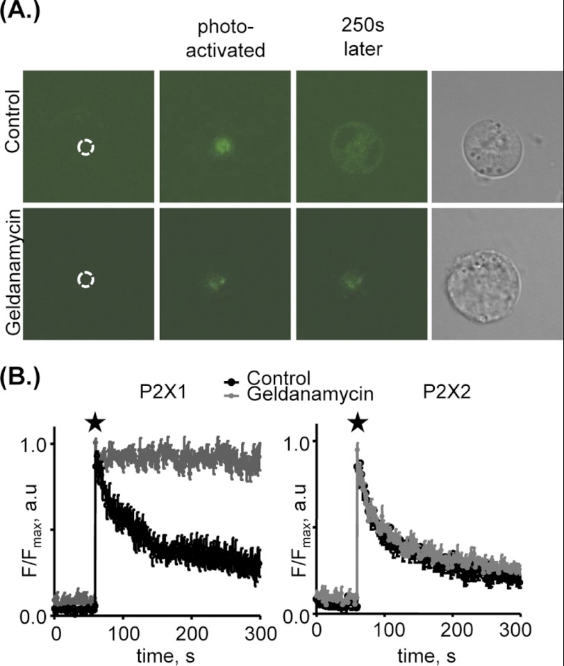 FIGURE 2.