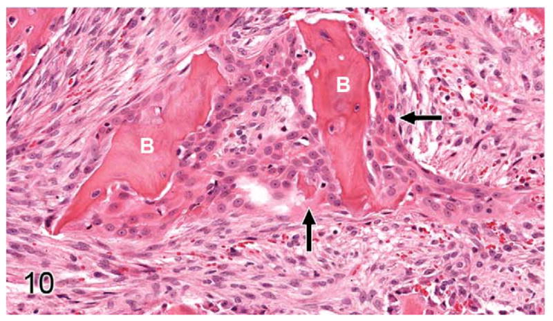 Figure 10