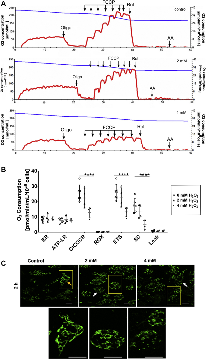 Figure 6