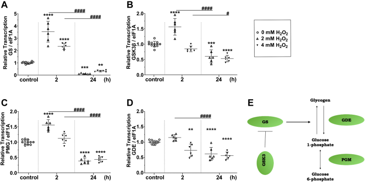 Figure 2