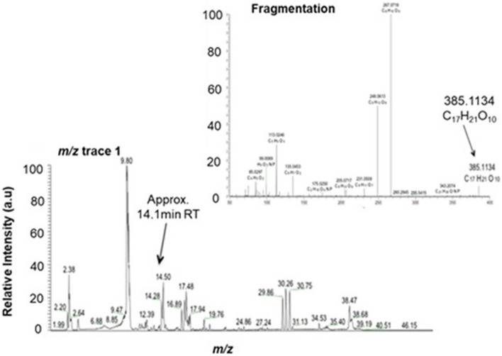 Fig. 5