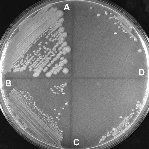 FIG. 7.