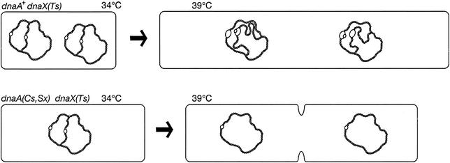 FIG. 8.