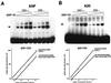 FIG. 7