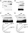 FIG. 6