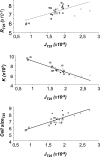 FIG. 2.