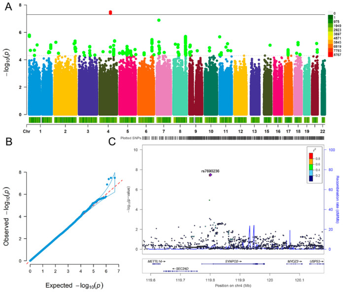 Figure 2