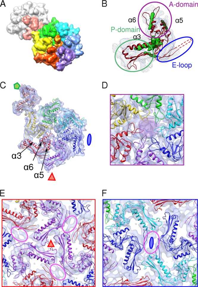 Fig 6