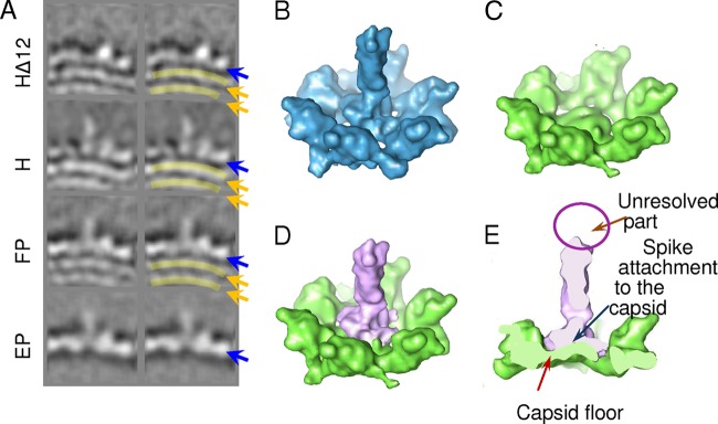 Fig 5