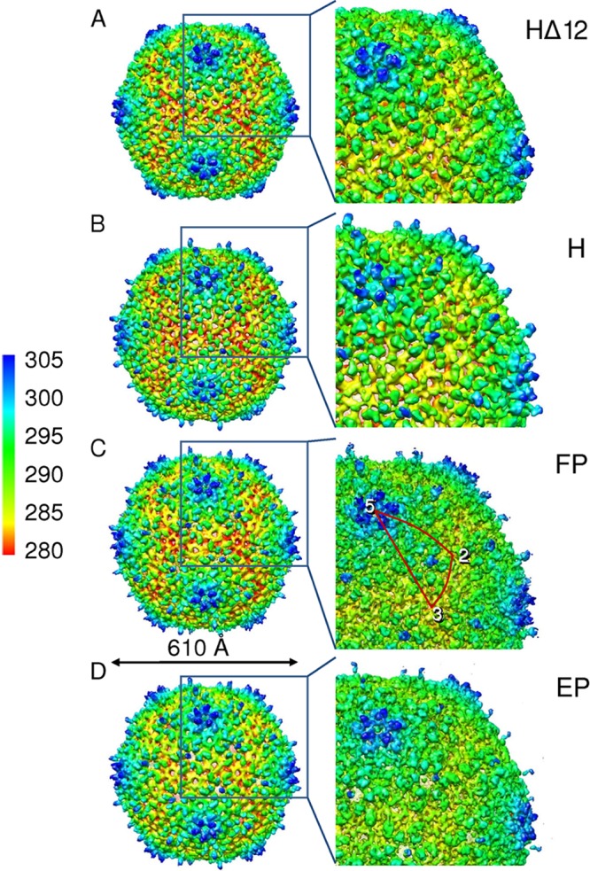 Fig 4