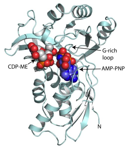 Figure 5