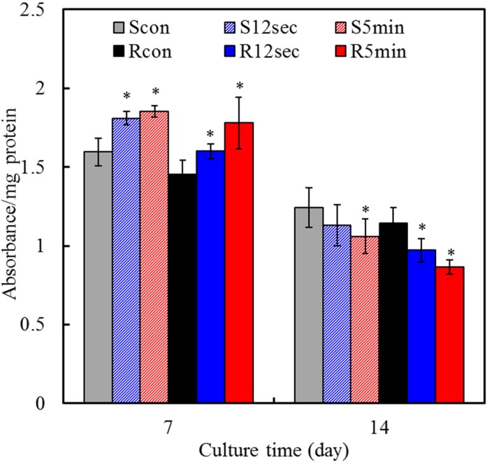 Figure 7