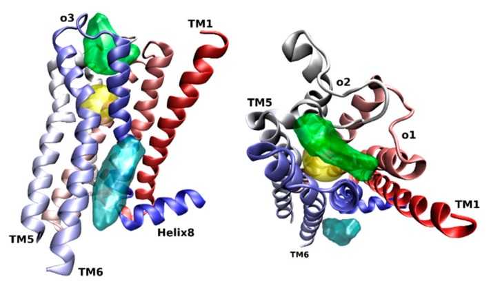 Figure 2