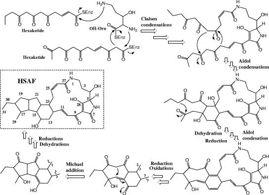 FIG. 7.