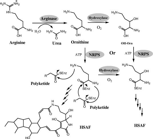 FIG. 8.