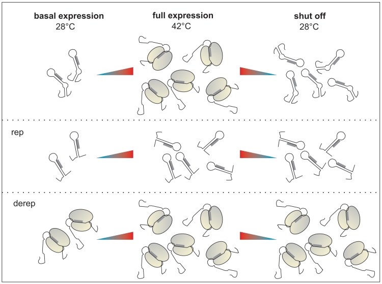 Figure 9.