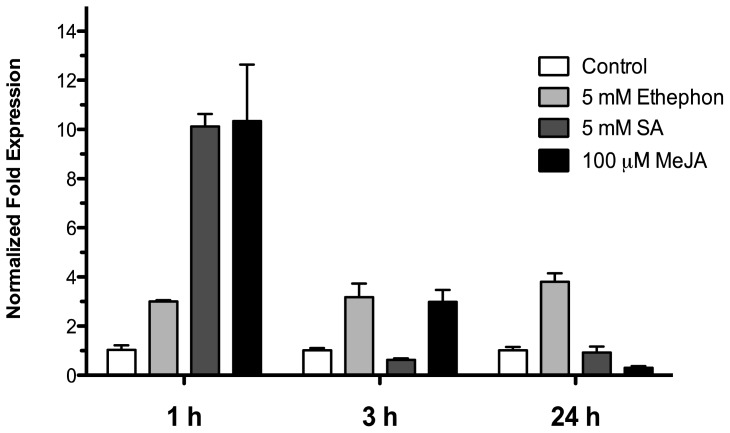 Figure 7