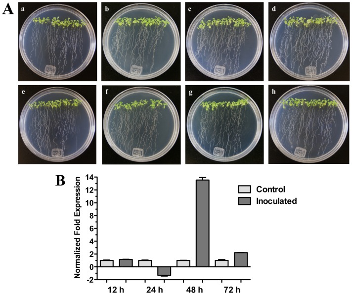 Figure 6