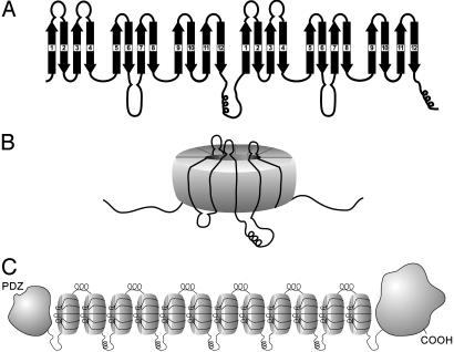 Fig. 6.