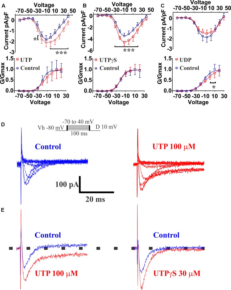 FIGURE 13